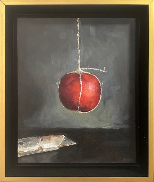 Appel aan een touwtje — Lydia van der Meer