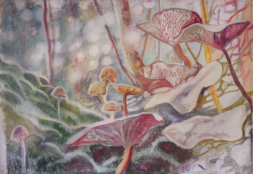 Mushrooms — Birgit Gerritsen