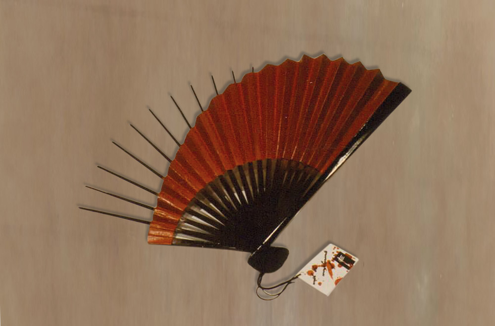 Japan — Eva Veldhoen