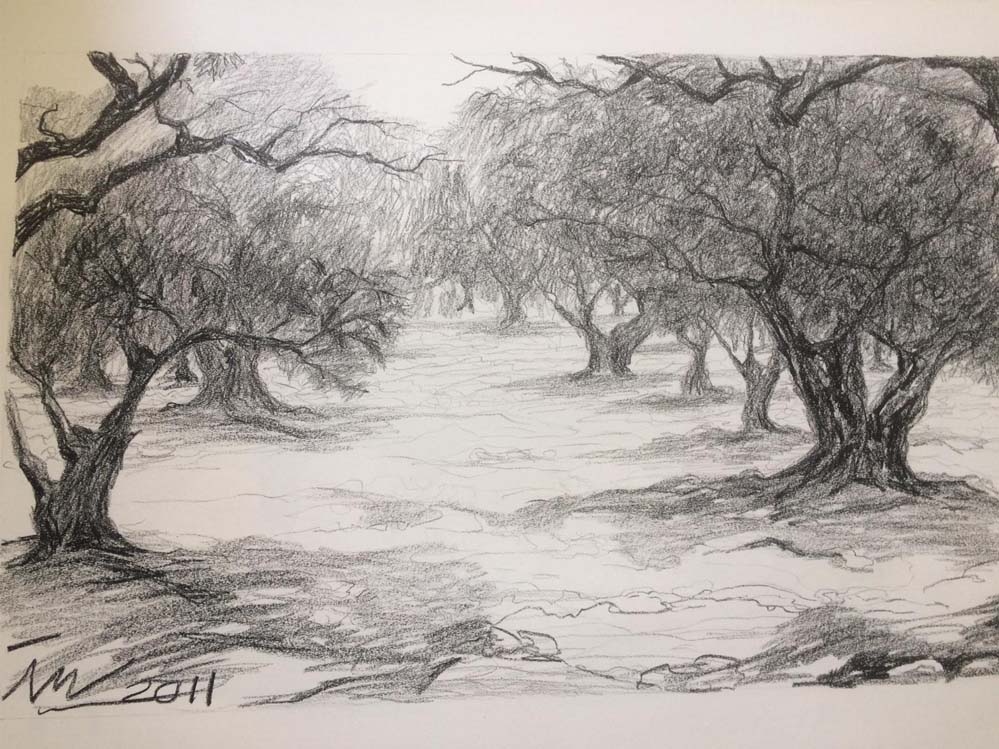 Olijfbomen — Ineke van Wanrooy