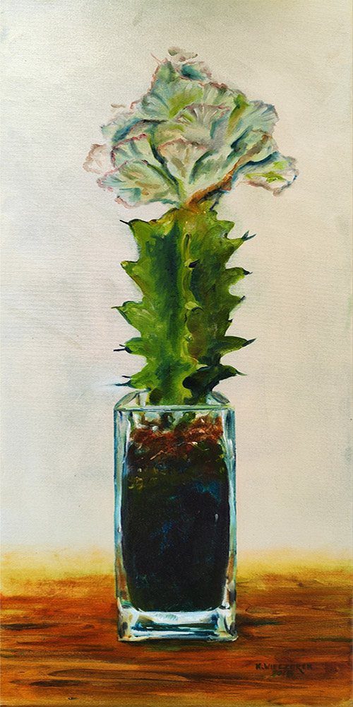 Cactus — Kinga Wieczorek