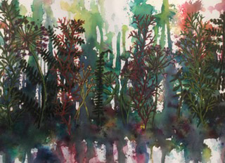 Varens in het bos — Monique Wijnschenk