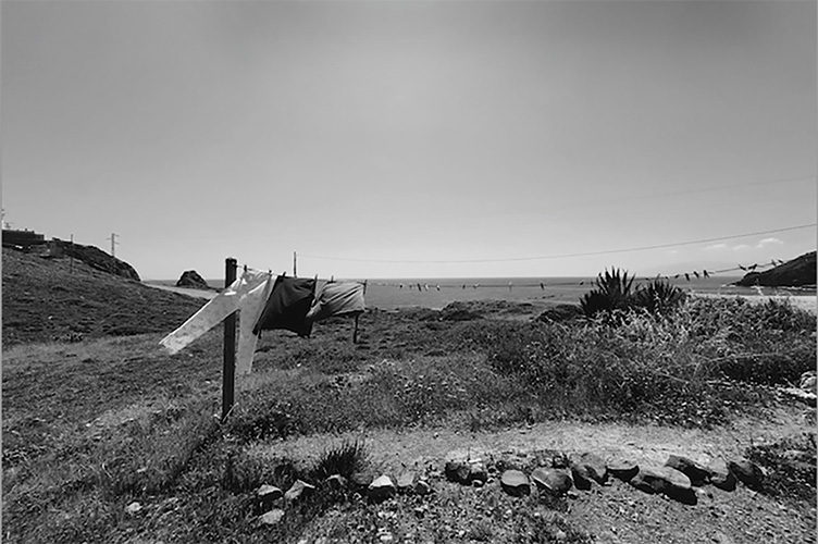 Levante — Nadia Salas Aluz