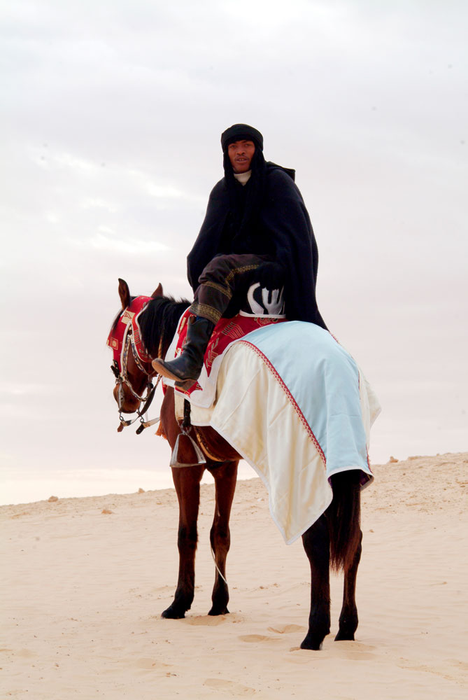 Desert Zorro — Pauline Prior