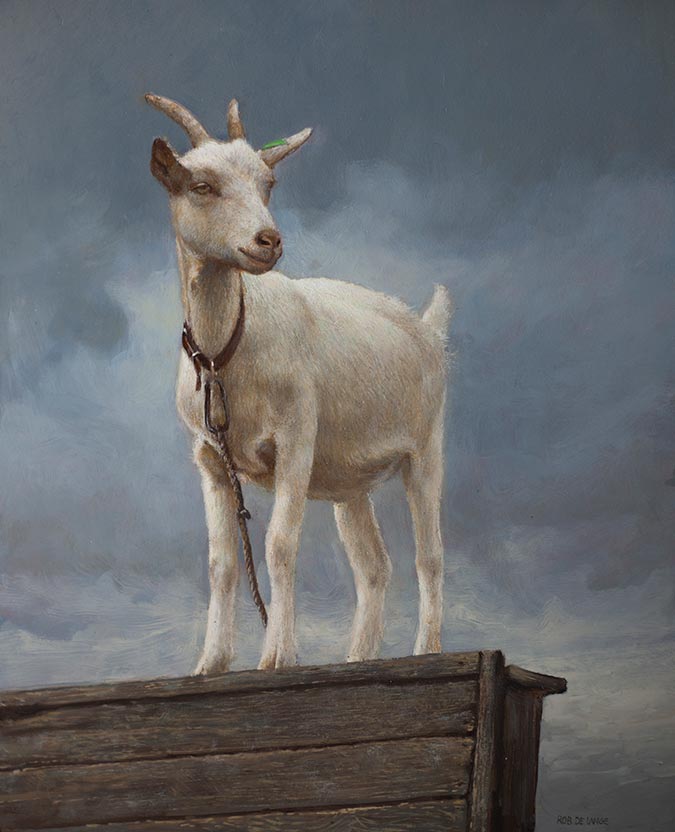On Top — Rob de Lange